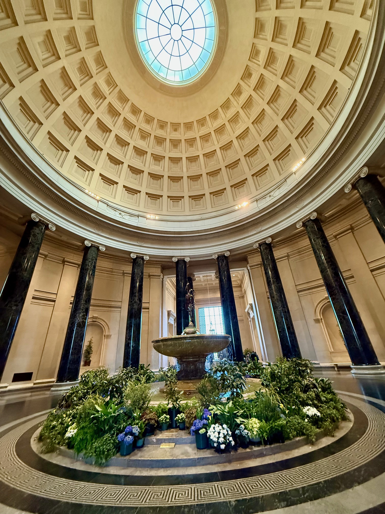 inside fountain and plants