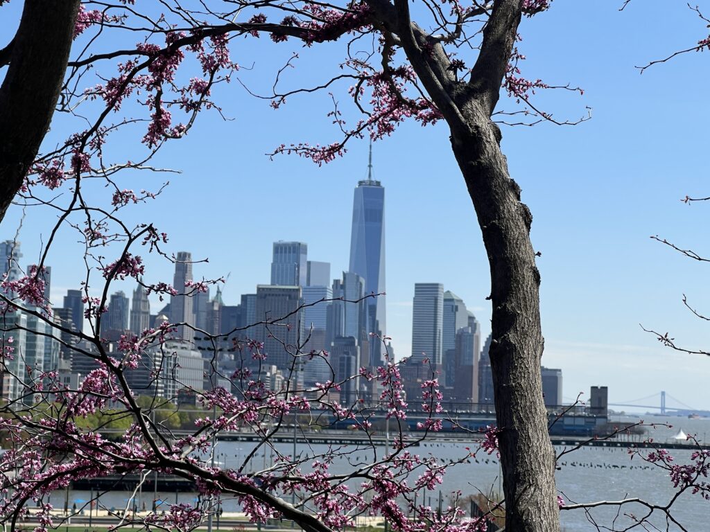 view from little island on downtown manhattan