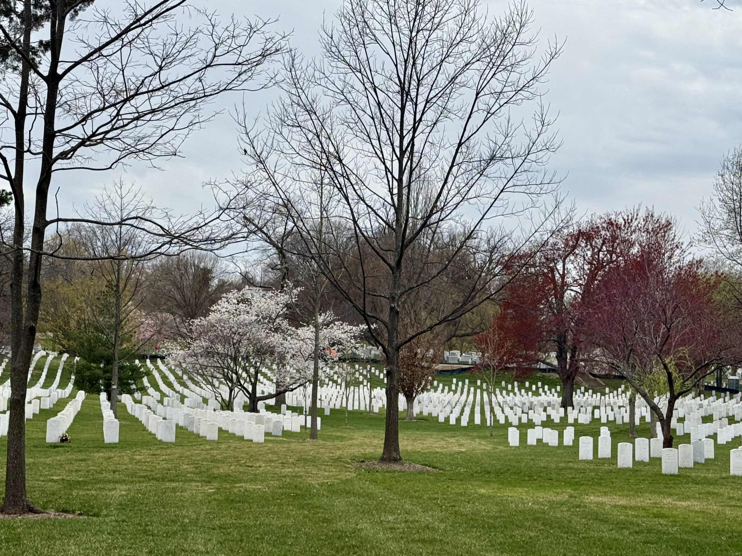 arlington national cemetry and its white grave stones