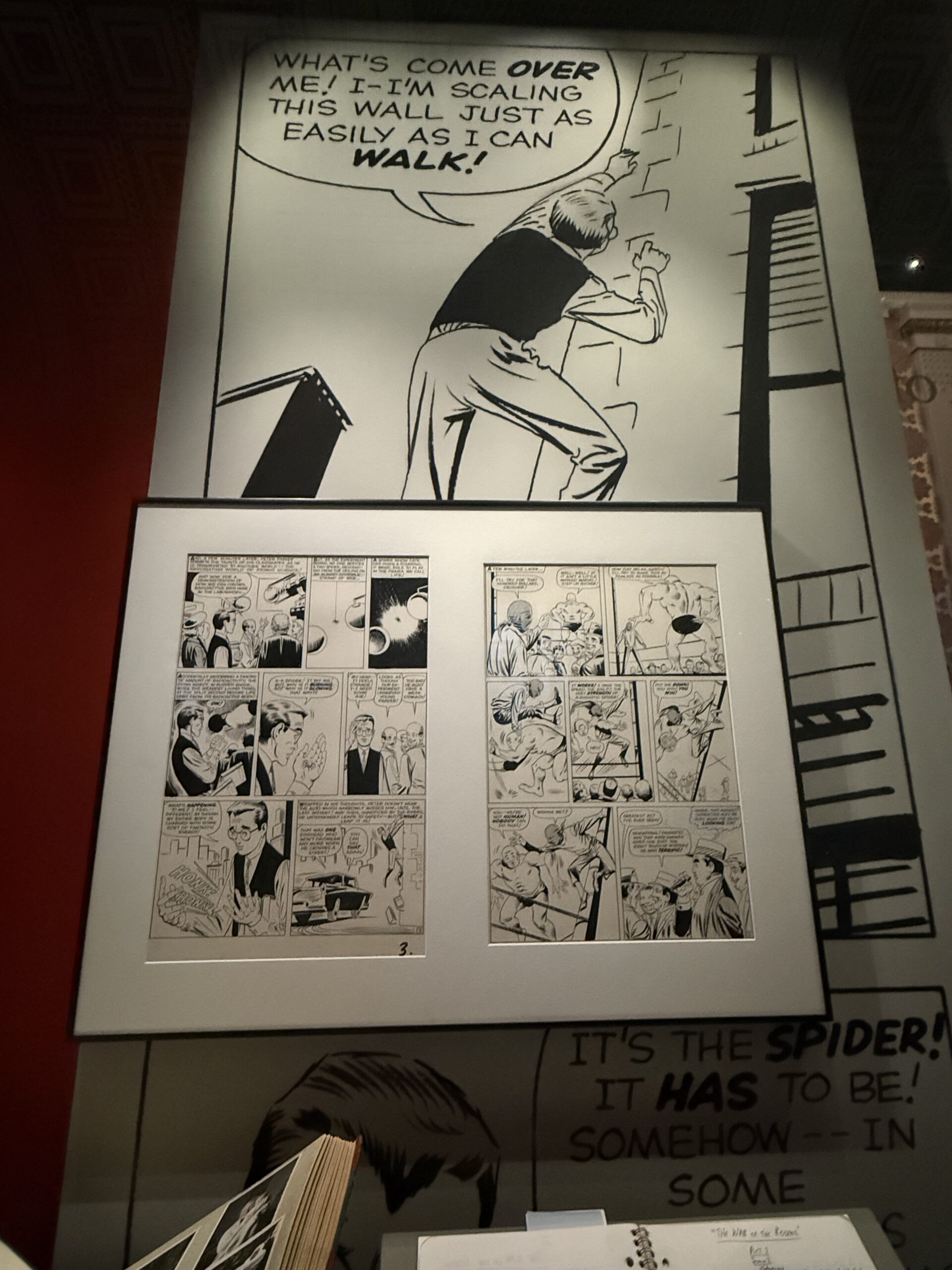 spiderman in library of congresss