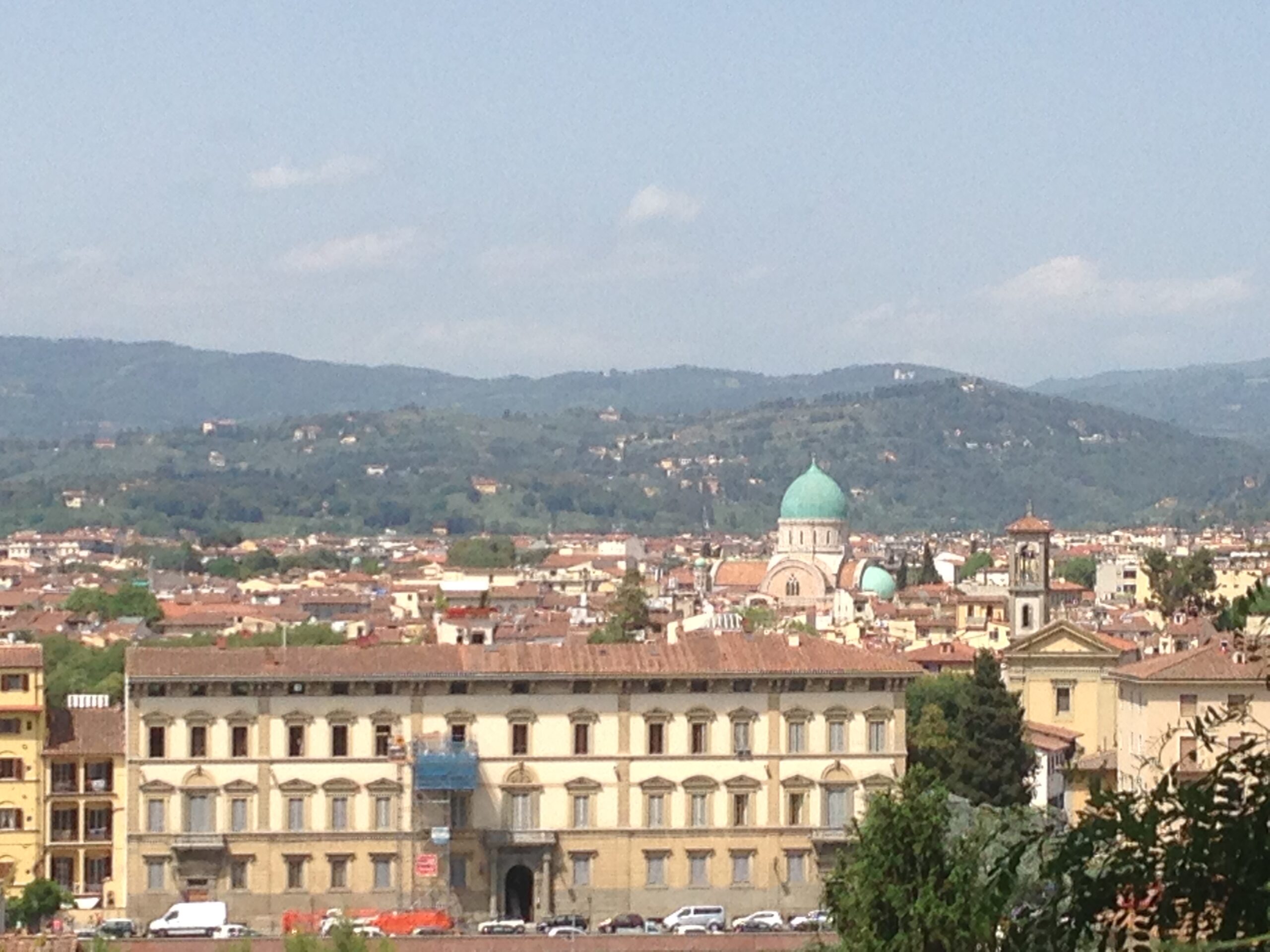 view on hill surrounding florence