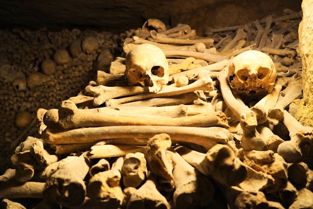 les catacombes paris