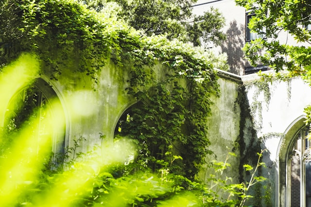 ruin of St. Dunstan in the East