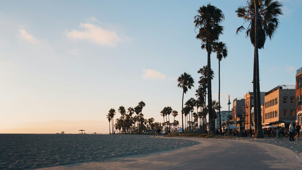 venice beach