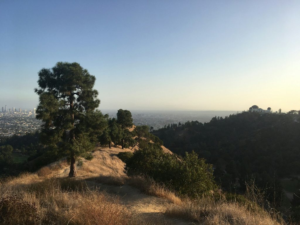 griffith park