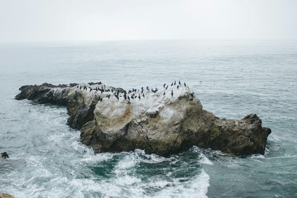 leo carillo state park