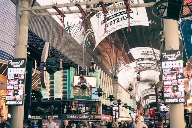 zip line at fremont street Photo by Erik Mclean